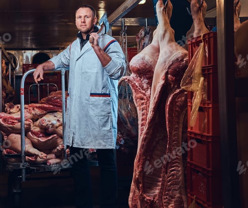 Preview: A butcher in a meat factory.