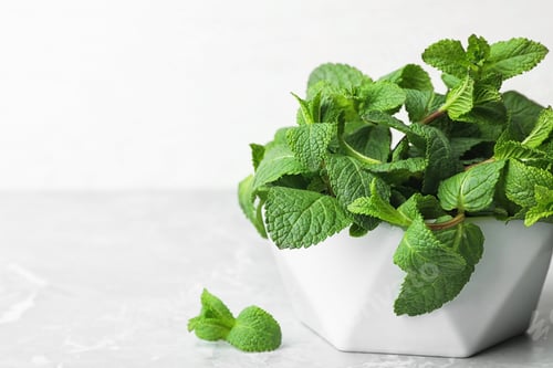 Preview: Bowl with fresh green mint on table. Space for text