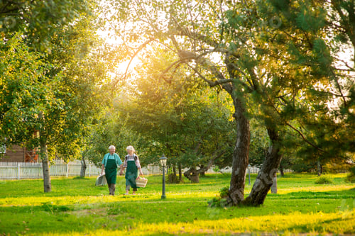 Preview: Couple of senior gardeners walking