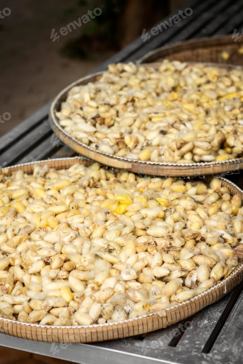 Preview: freshly harvested raw silkworm cocoons in traditonal silk farm in cambodia