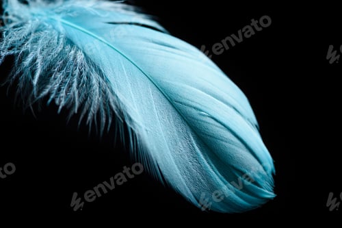Preview: close up of lightweight blue textured plume isolated on black