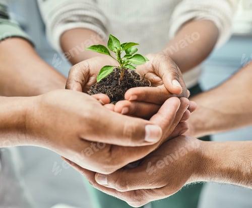 Preview: Help and well grow together. Cropped shot of a group of people holding a plant growing out of soil.