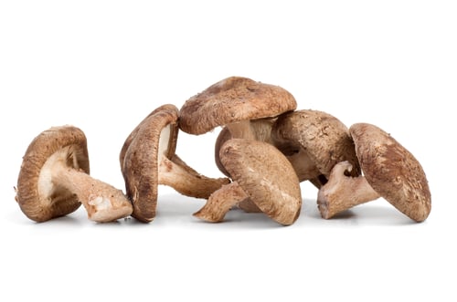 Preview: Three fresh shiitake mushrooms