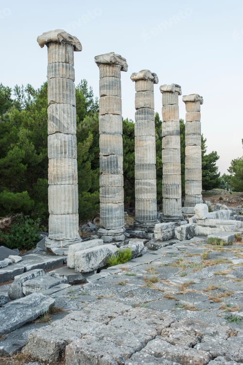 Preview: Columns of Priene