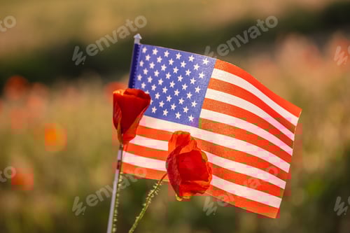Preview: American Flag and Poppies in a Field
