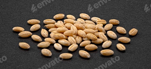 Preview: Barley grain pile on dark background, full depth of field, top view