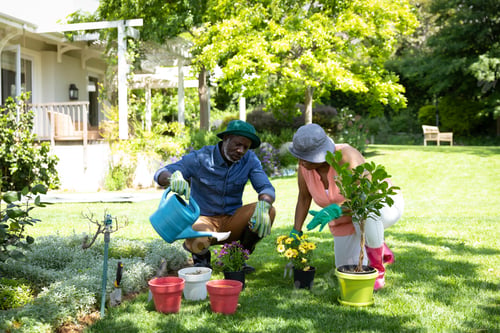 Preview: Family gardening together