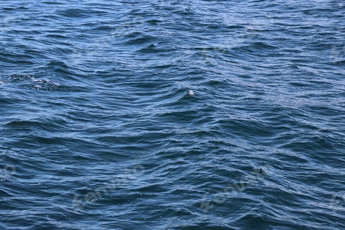 Preview: Blue ocean with gentle waves