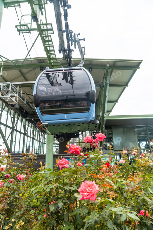Preview: Flowers next to a cabin of the Funchal cable car that goes up the mountain from the beach, Madeira
