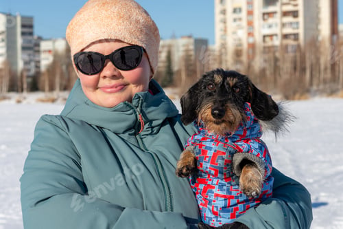 Preview: The owner walks with her dog dachshund on the street.