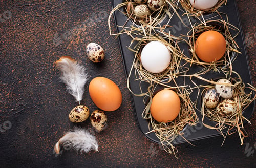 Preview: Fresh raw chicken and quail eggs in sieve