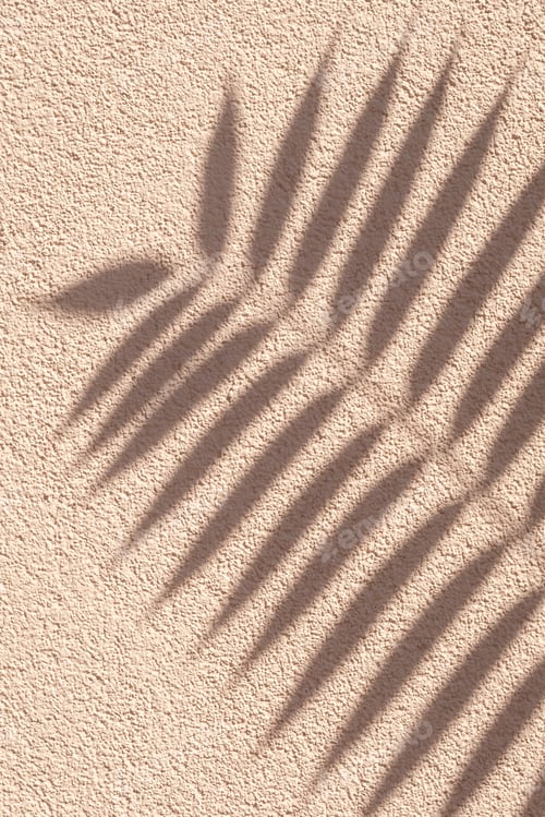 Preview: Tropical palm branch with shadow on a beige grunge cement wall, brown cream