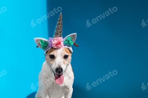 Preview: Jack Russell terrier with unicorn horn on blue background