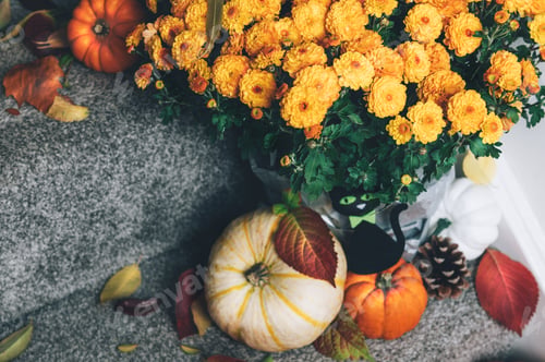 Preview: Pumpkins and decorations on stairs