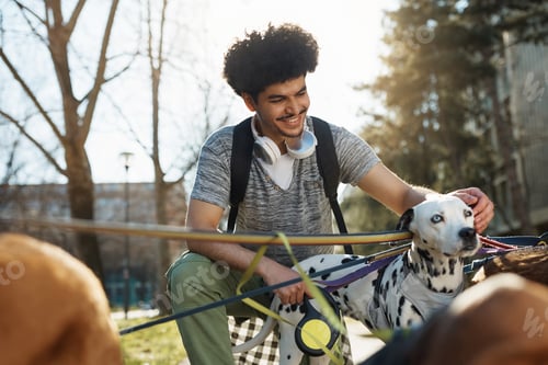 Preview: Happy man cuddling Dalmatian during dog walking in the park.