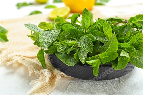 Preview: Wooden plate with fresh mint on table