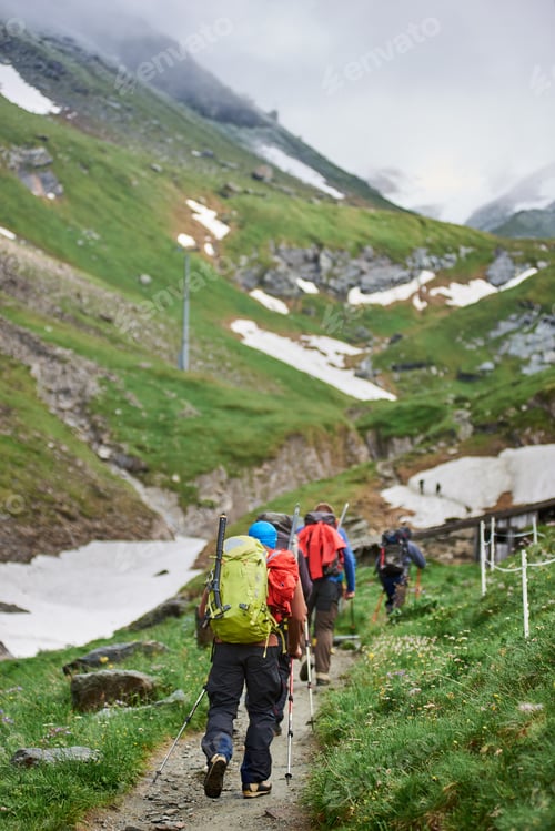Preview: Group of hikers walking on mountain road.