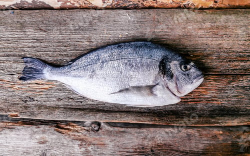Preview: Fish on the table