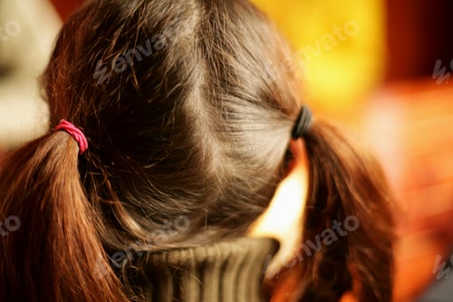 Preview: Back View of a Child with Ponytails