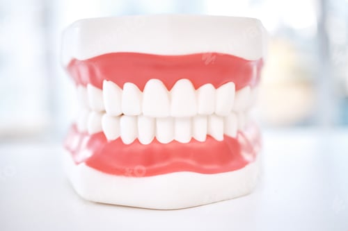 Preview: Dental, teeth model and orthodontics with healthcare and closeup, oral hygienist and health insuran