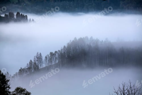 Preview: Apuseni mountains, Romania - misty autumn morning