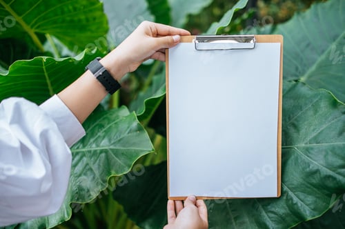 Preview: A hand hold the clipboard in the garden