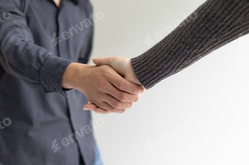 Preview: Handshake, Business partners working together in the office colleagues.