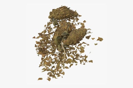 Preview: Marijuana Pile with Loose Leaf