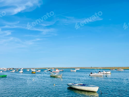Preview: Canal de Tavira . Small boat cruising tranquil green river.