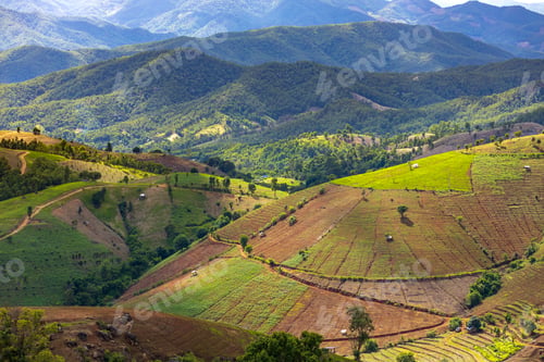 Preview: Top view Terraced rice field at Mae Cham Chiangmai Northern Thailand