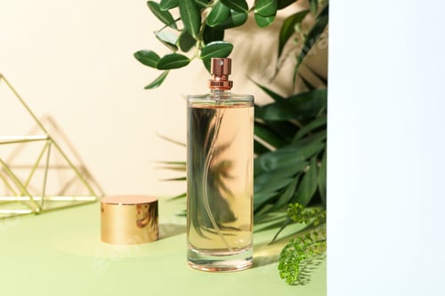 Preview: Concept of fragrant flavored perfume, close up