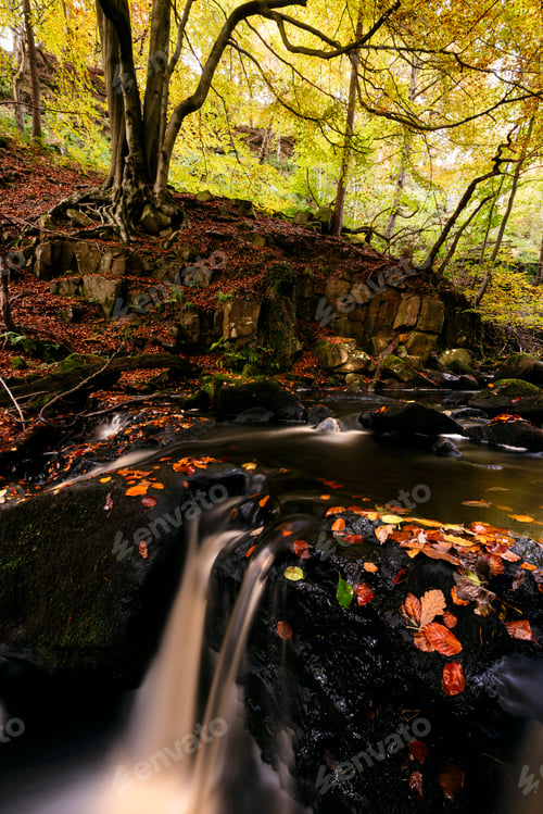 Preview: Long exposure of river flowing over rocks in forest, Padley Gorge, Peak District, England, UK