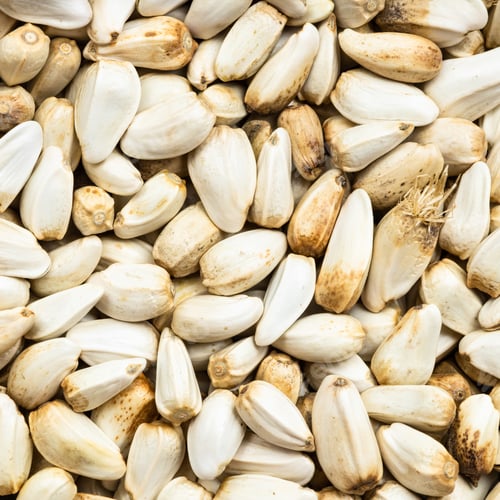 Preview: safflower seeds close up