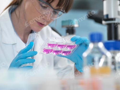 Preview: Female scientist examining cells in growth medium in multi well plate under microscope in laboratory