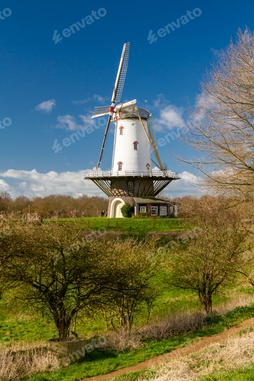 Preview: White windmill in Veere 6