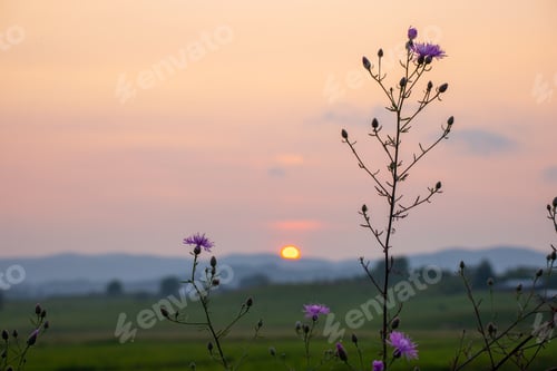 Preview: Vibrant sunset from the wildfire smoke