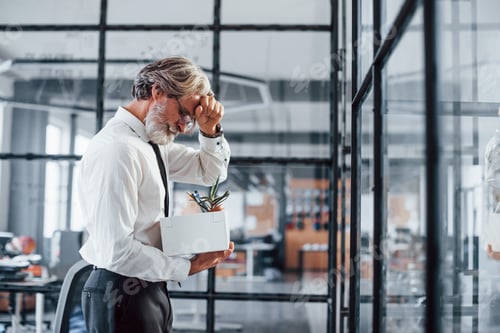 Preview: Mature businessman with grey hair and beard in formal clothes is in the office