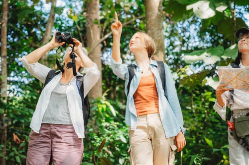 Preview: group of people family enjoy camping outdoor activity with nature, camp site living in happy time