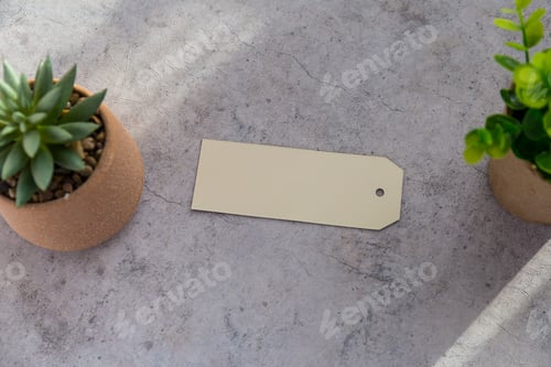 Preview: Tag and plants