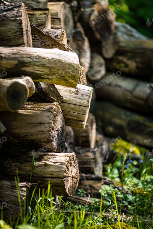 Preview: Large stack of freshly cut logs is visible in the foreground