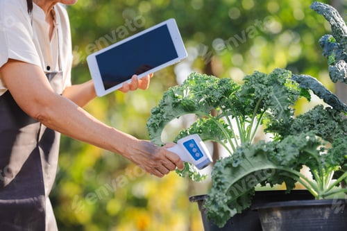 Preview: Soil Moisture Meters