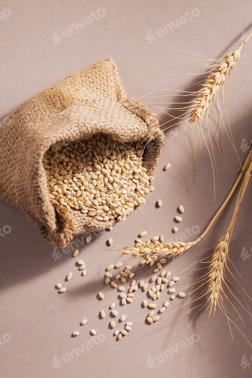 Preview: Burlap bag of dry raw broken pearl barley cereal grain