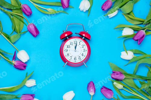 Preview: clock and tulips