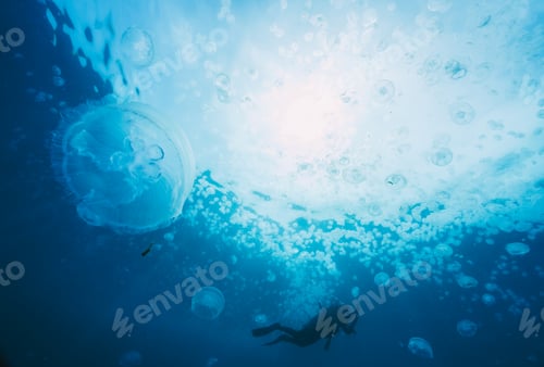Preview: A man is swimming in the ocean with jellyfish all around him