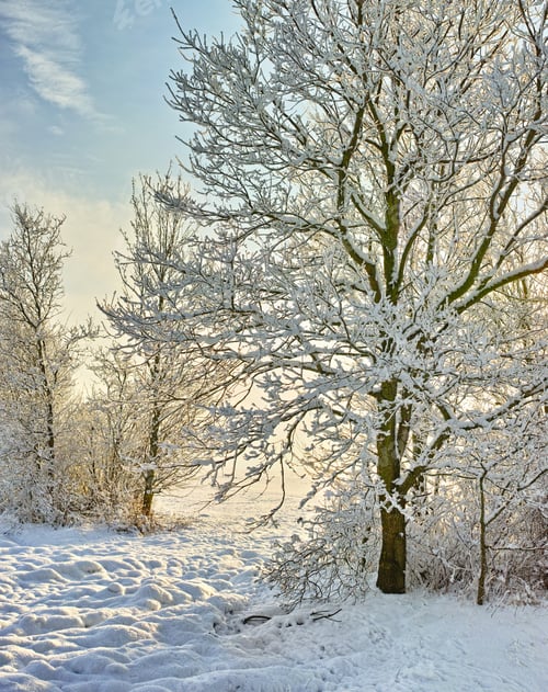 Preview: The sun is shining on this winters day