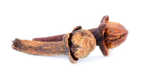 Preview: cloves on white background
