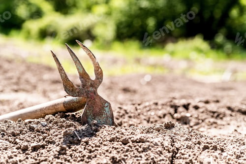 Preview: Old rake in soil