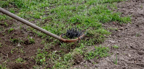 Preview: a man cleans weeds in the garden. Spring cleaning on the farm.