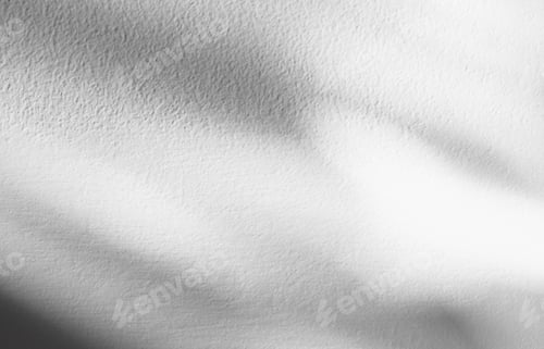 Preview: White Background Studio with Leaves shadow, sunbeam reflection on concrete wall