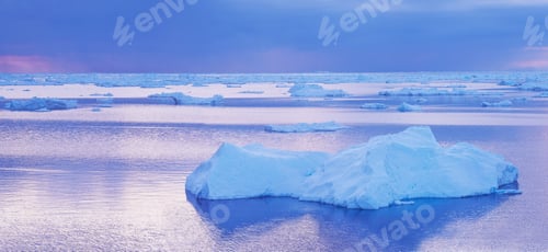 Preview: Arctic beauty